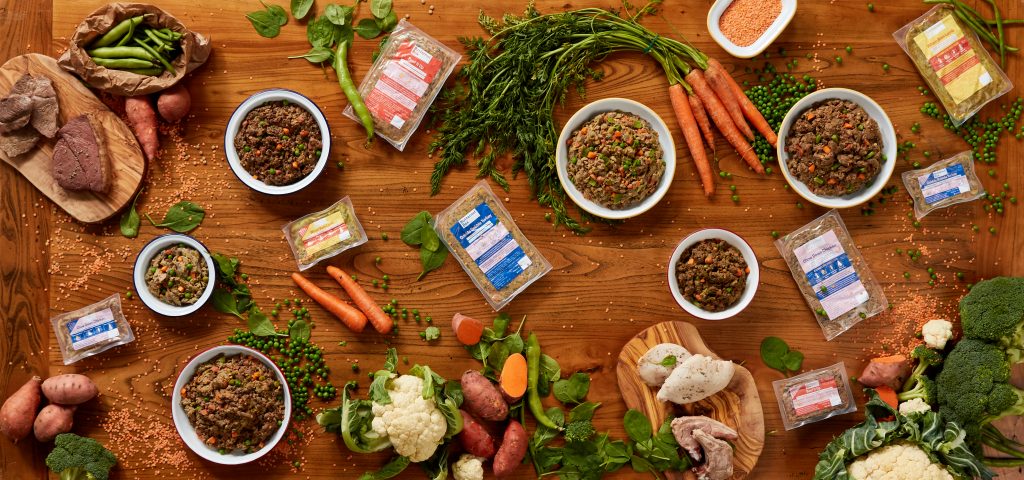 Best dog food for a Jack Russell