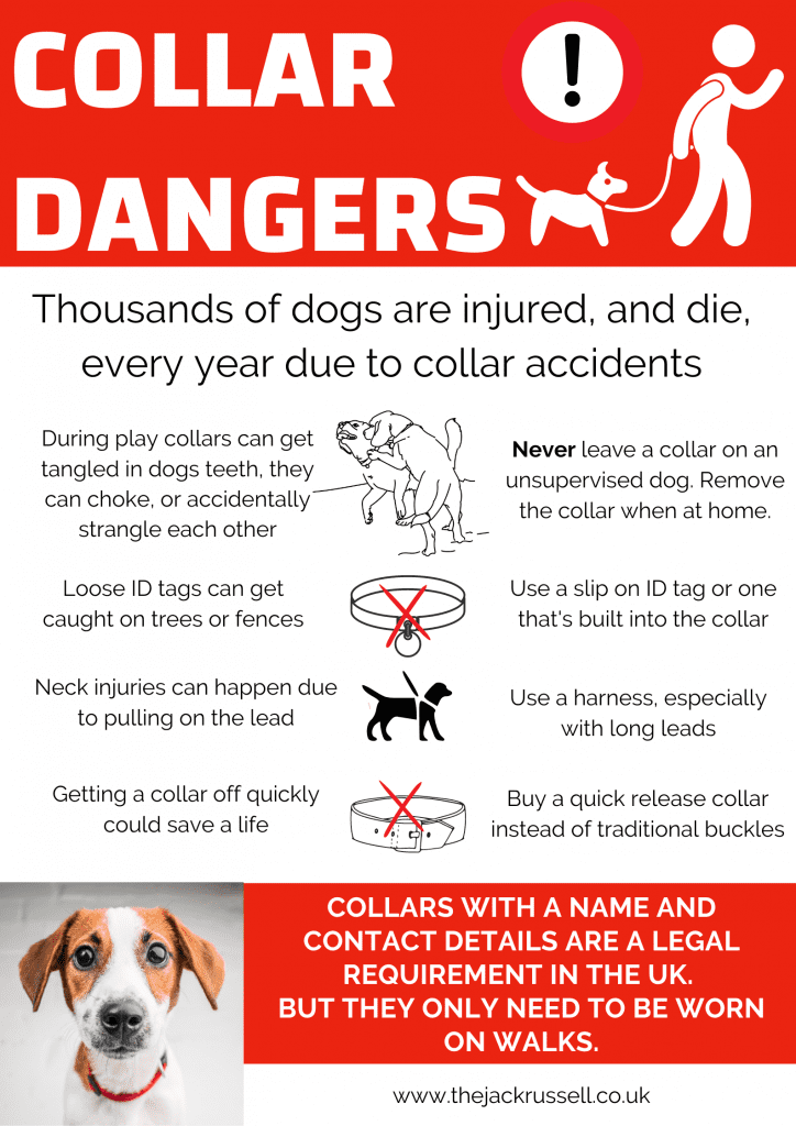Dog collar safety
Dangers of dog collars infographic
Dog collars are dangerous