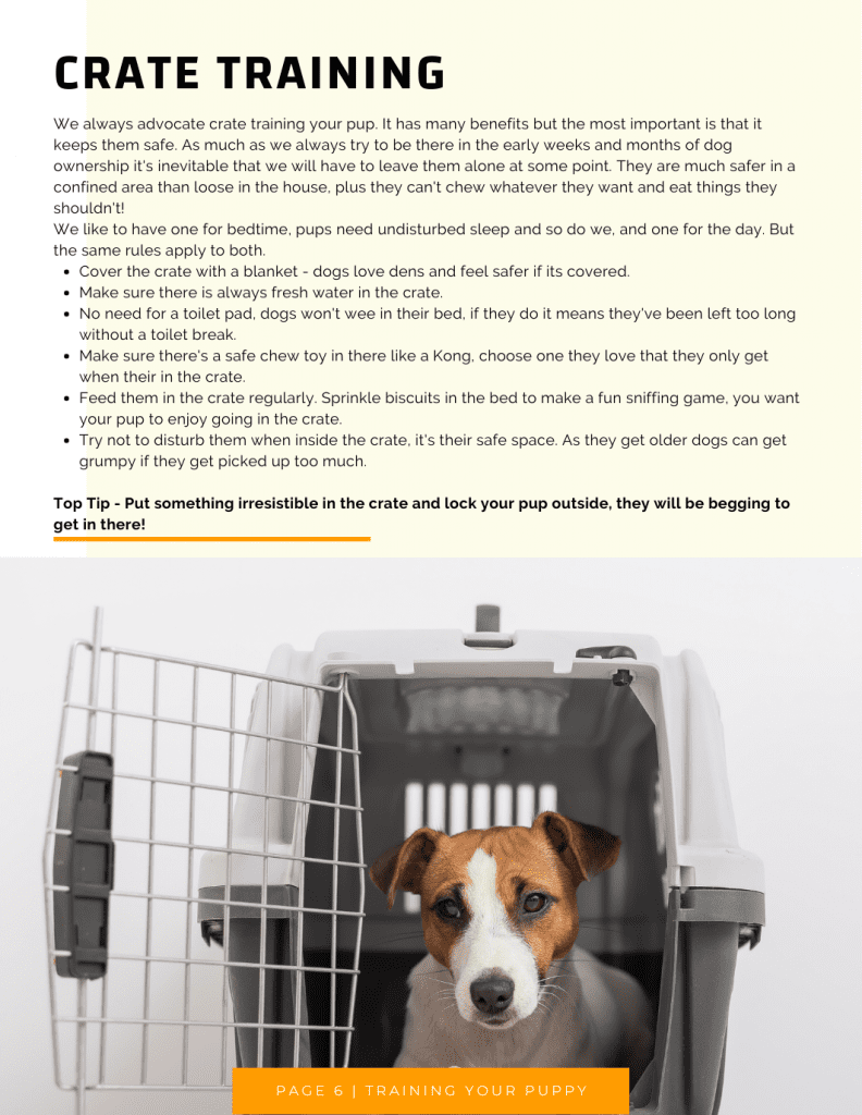 How to crate train a Jack Russell terrier